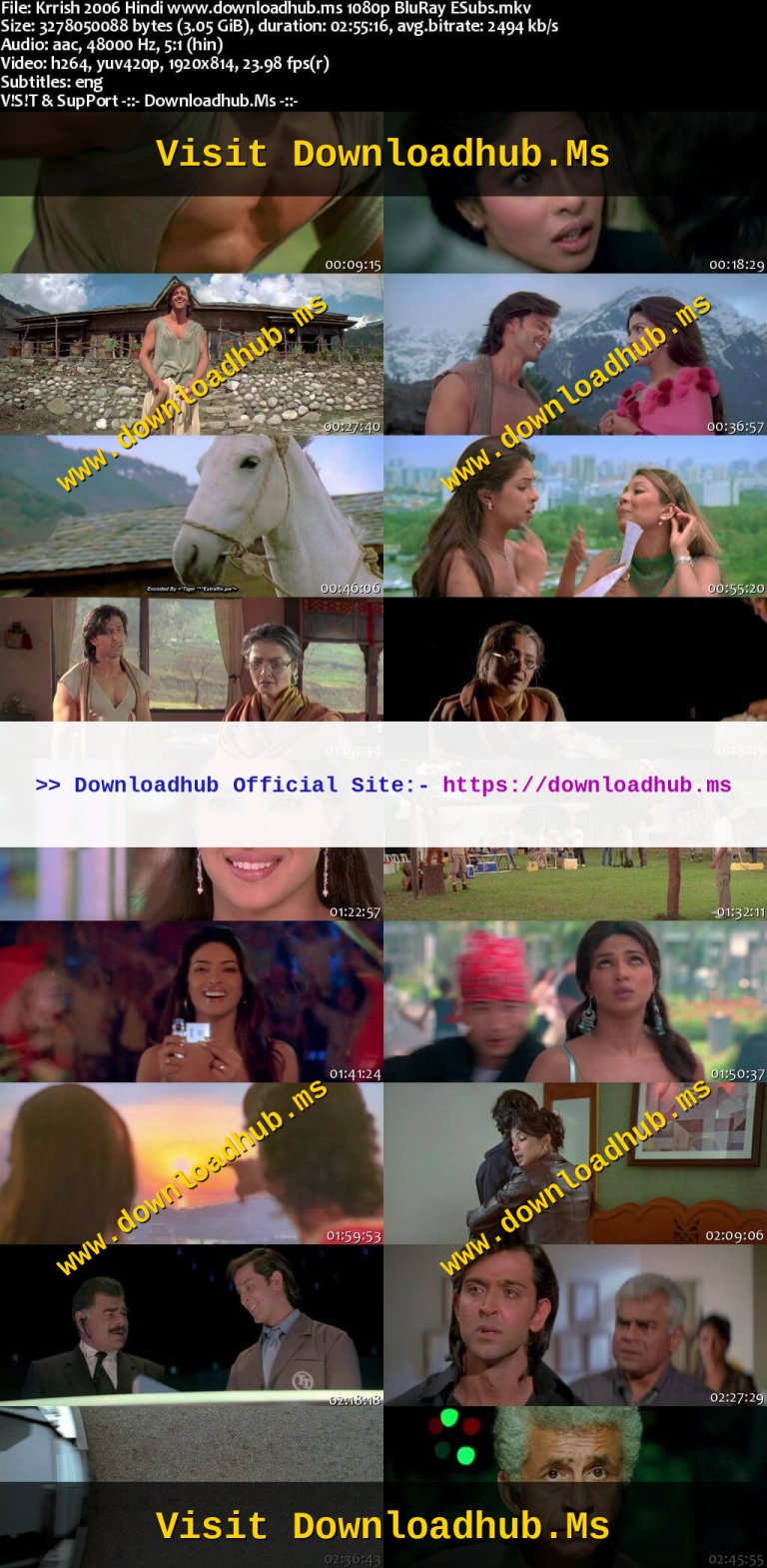 Krrish-2006-Hindi-www.downloadhub.ms-1080p-BluRay-ESubs_s.jpg