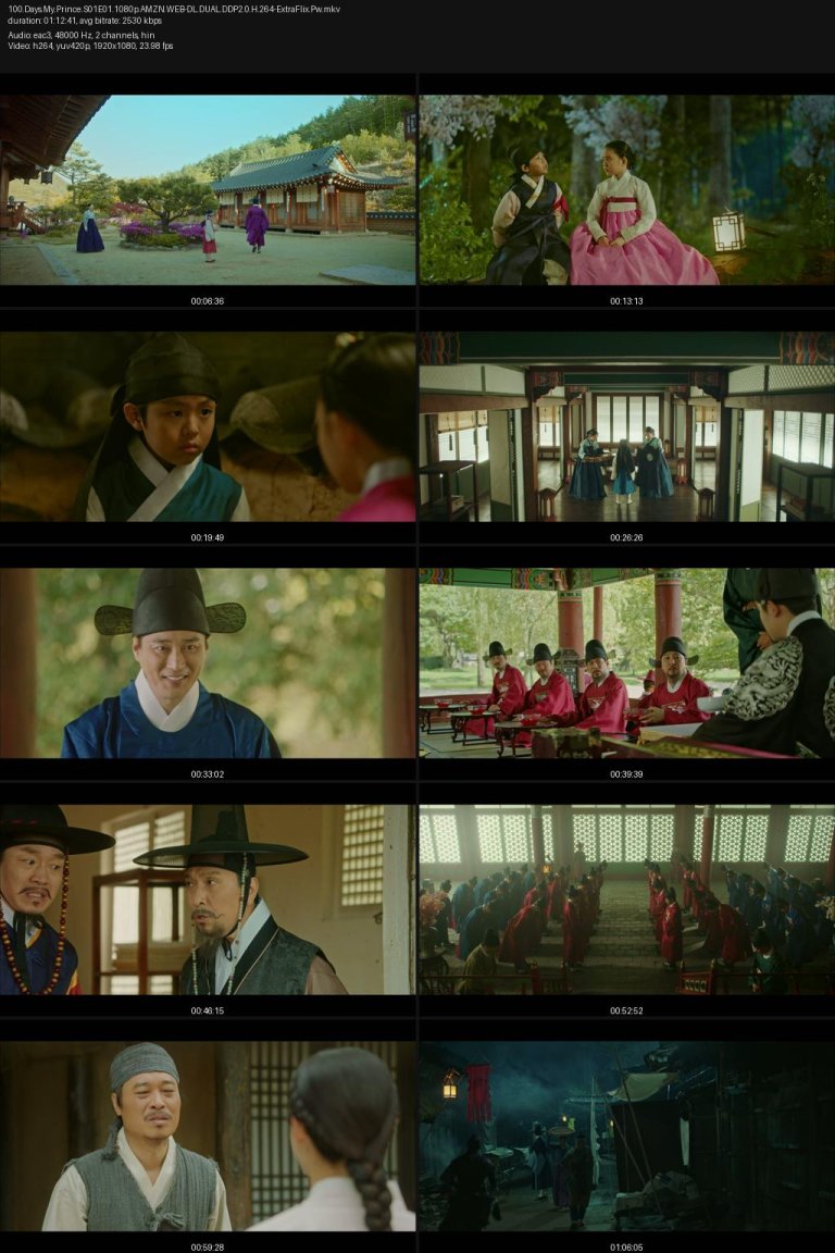 100.Days.My.Prince.S01E01.1080p.AMZN.WEB-DL.DUAL.DDP2.0.H.264-ExtraFlix.Pw.jpg